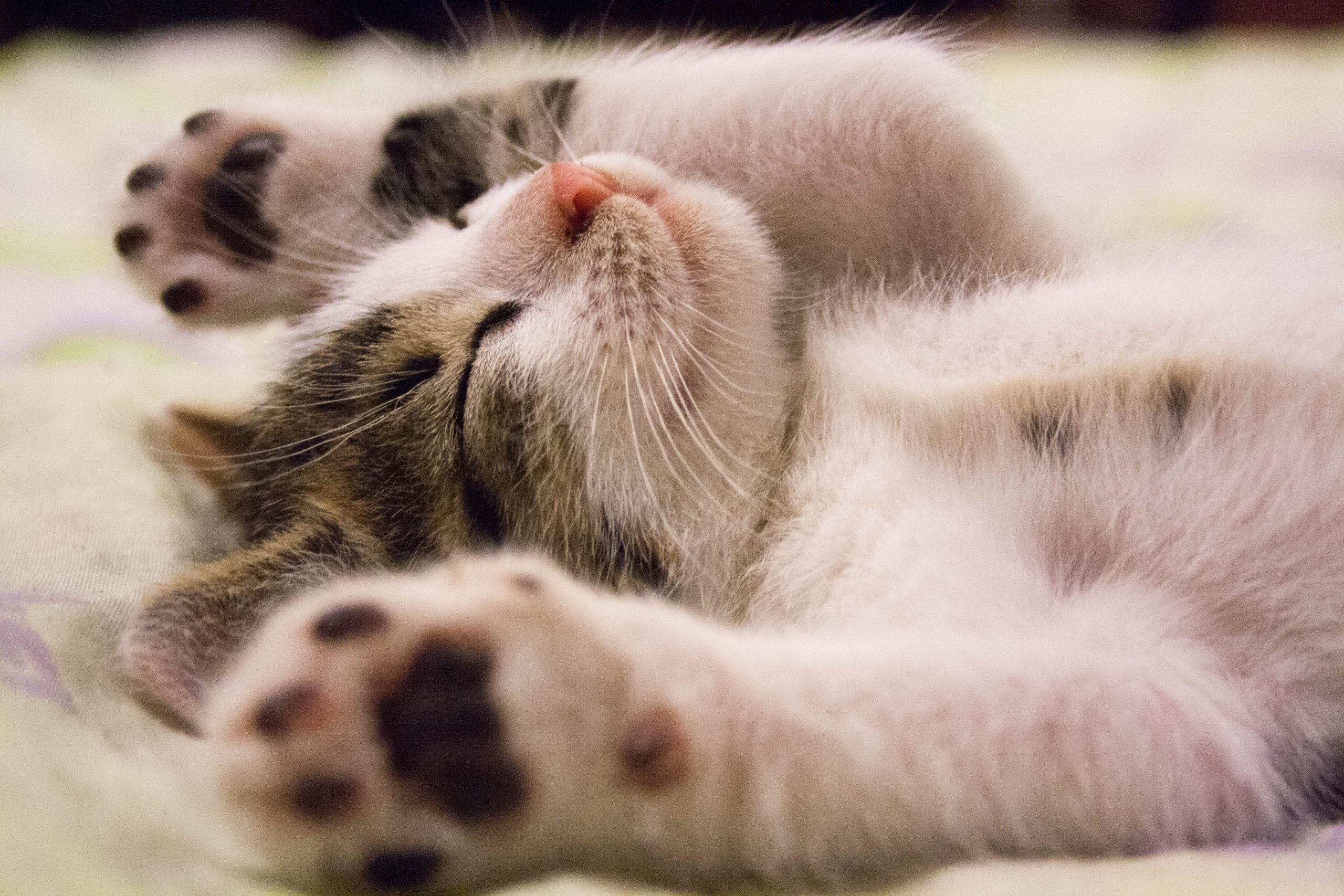 sleep